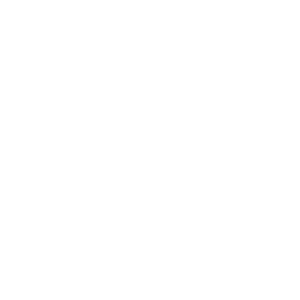 Logo SSAK Agency